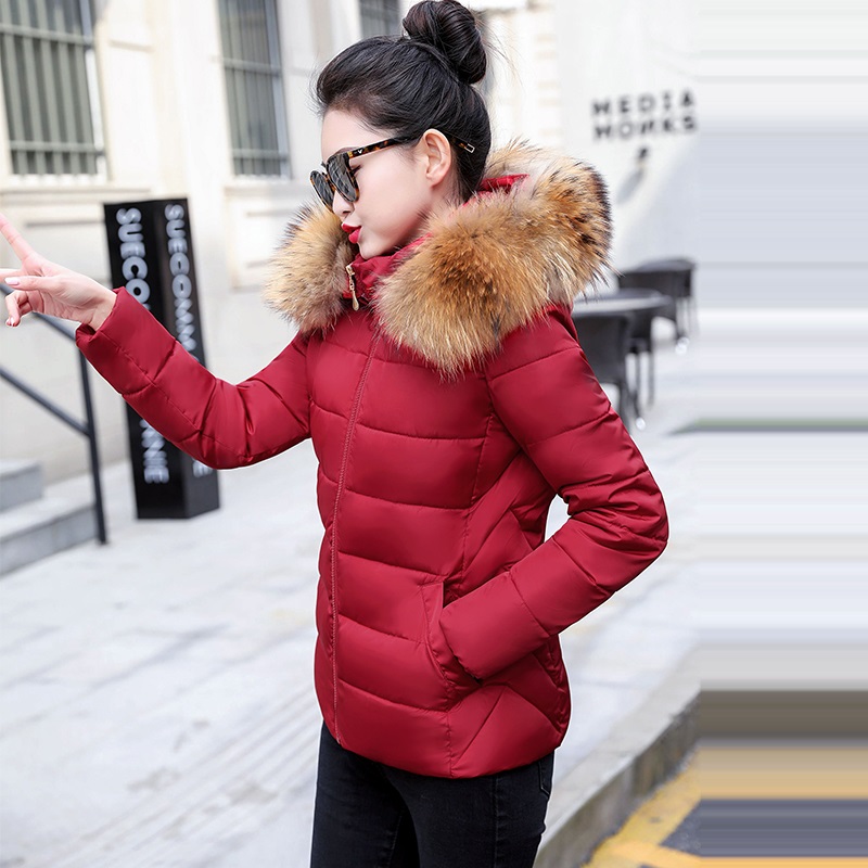 Autumn Coat Female Jacket Hood - Winter Clothing Offer incelemesi ve fiyatı
