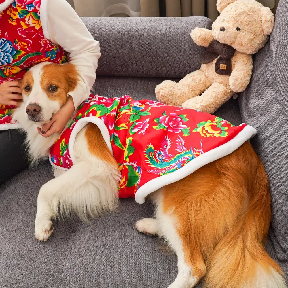 2025  winter dog clothing dog  - Winter Clothing Name incelemesi ve fiyatı
