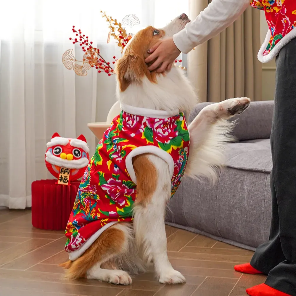 2025  winter dog clothing dog  - Winter Clothing Name incelemesi ve fiyatı