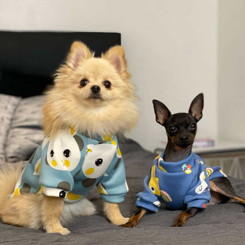 Xs Dog Clothes for Small Dogs  - Winter Clothing Kids incelemesi ve fiyatı