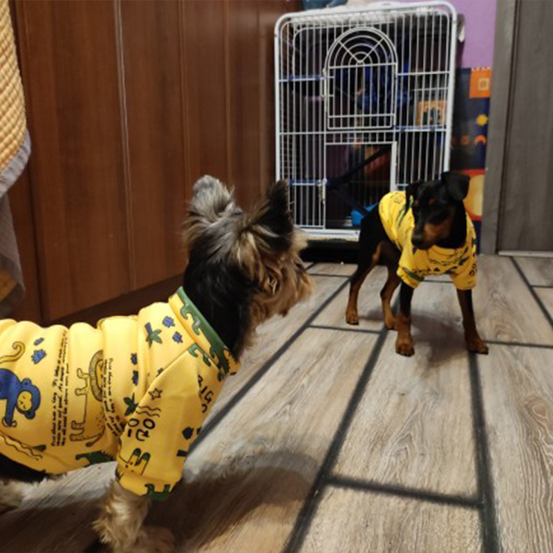 Xs Dog Clothes for Small Dogs  - Winter Clothing Kids incelemesi ve fiyatı